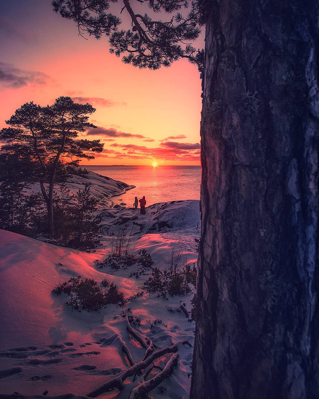 Показали, як виглядає найказковіше місце на Землі: фото, від яких перехоплює дух